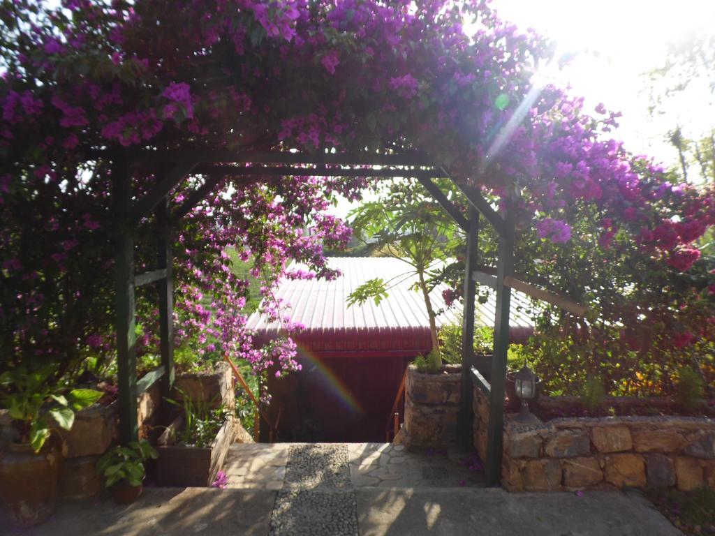 Aythaya Monte Divino Lodge Taunggyi Ngoại thất bức ảnh